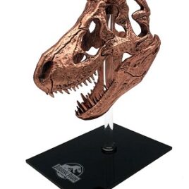 Jurassic Park – T-Rex Skull Scaled Prop Replica